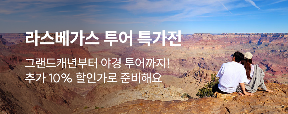 라스베가스 투어 특가