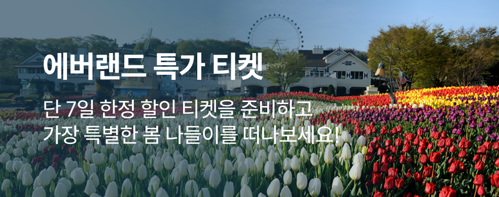 에버랜드 특가 티켓