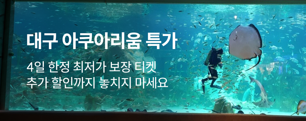 대구 아쿠아리움 특가