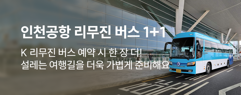 인천공항 리무진버스 1+1