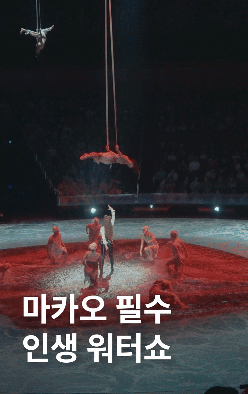 뷰티 페스타