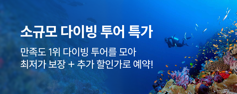 푸꾸옥 Onbird투어 특가