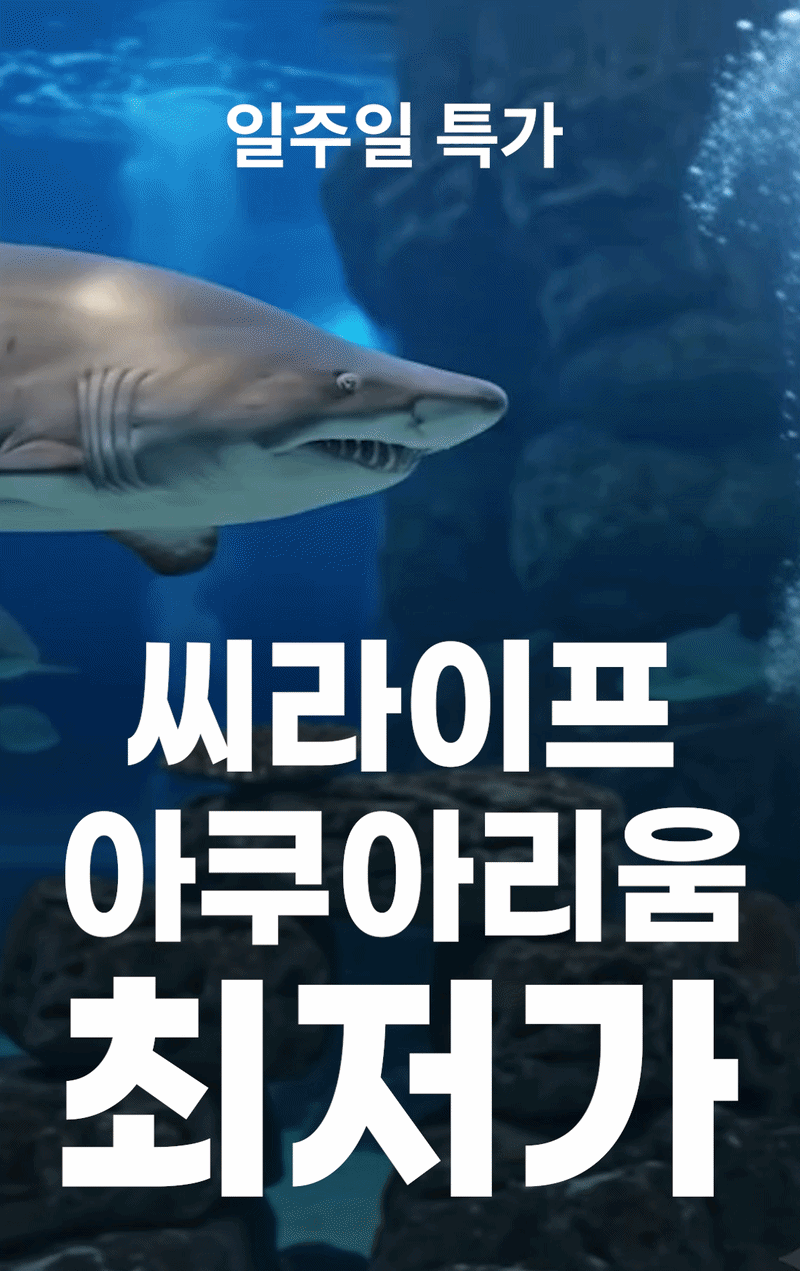 서울 씨라이프 코엑스 아쿠아리움 입장권