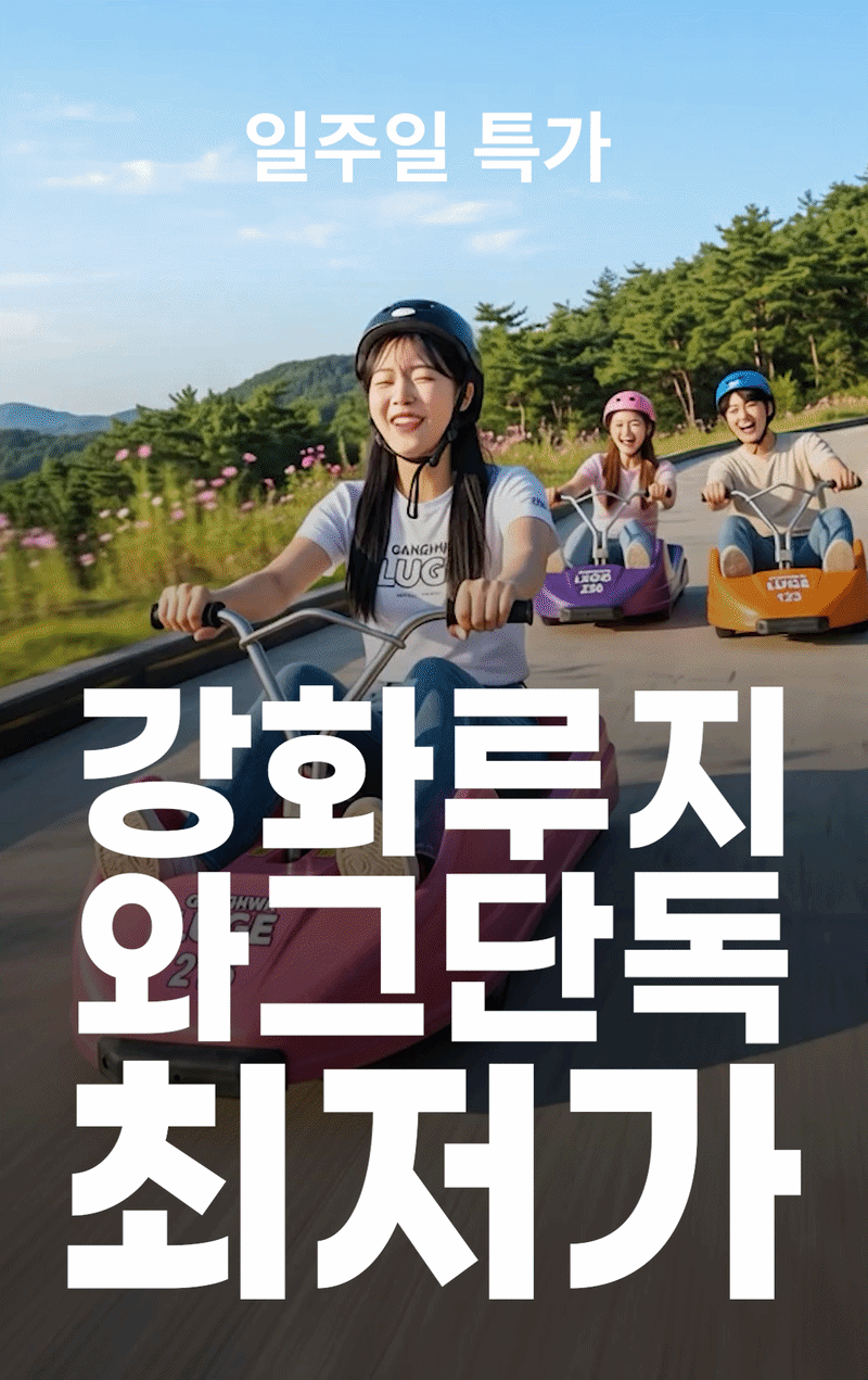 강화루지 와그단독 최저가