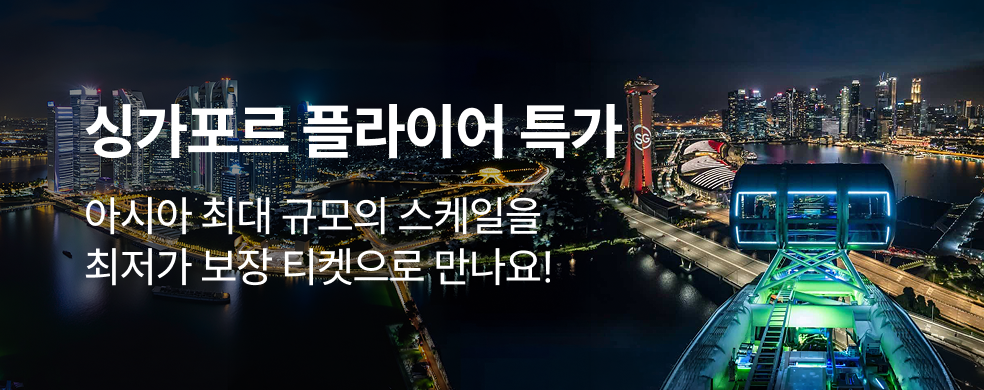 싱가포르 플라이어 최저가