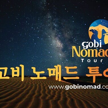 고비노매드투어
