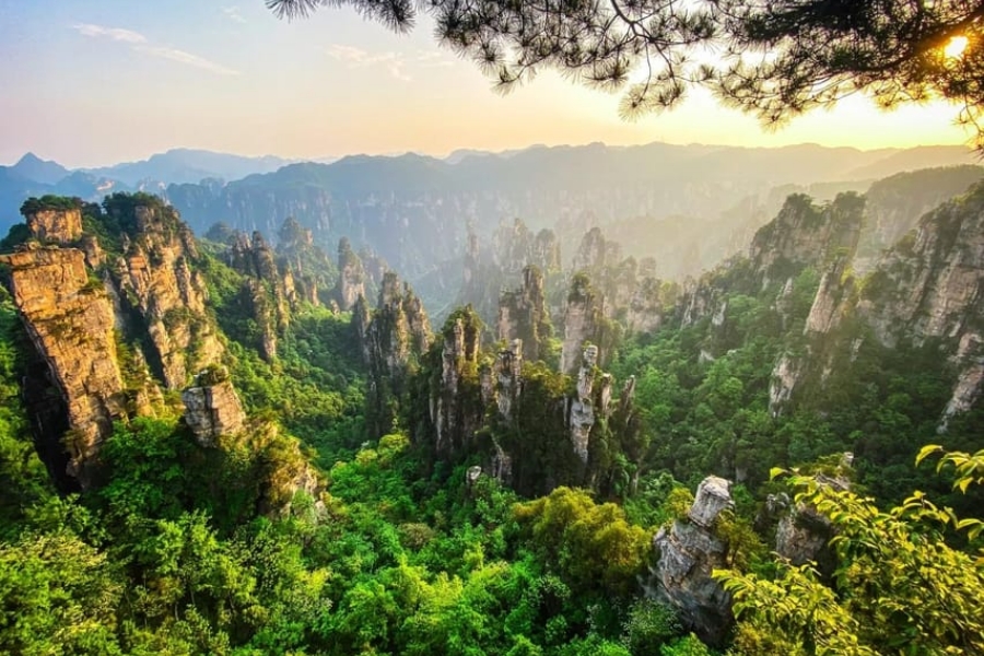 Trip on the world travel