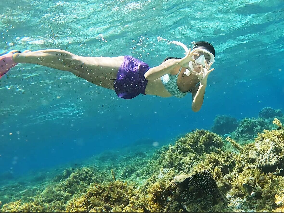 야하이 투어 서비스