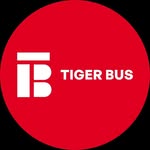 Seoul Tiger Bus