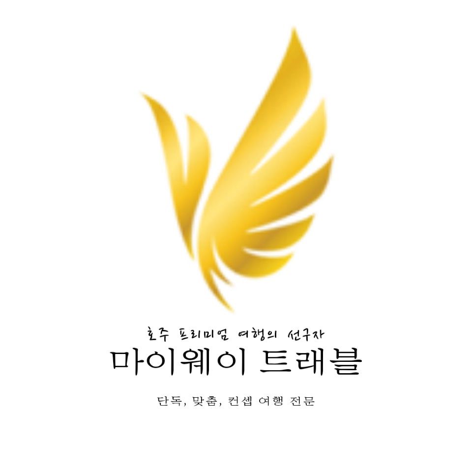 마이웨이트래블