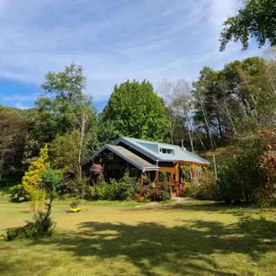 미술관자작나무숲