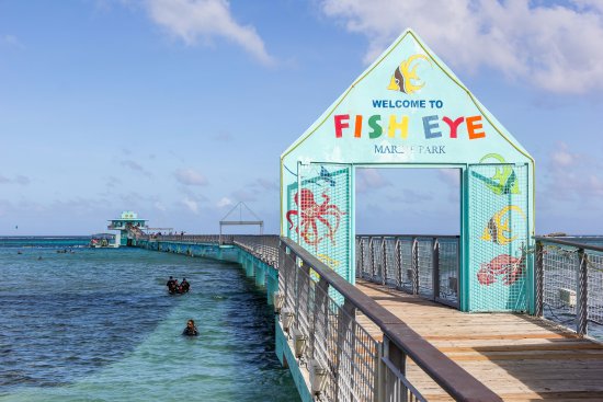 Fish Eye Marine Park