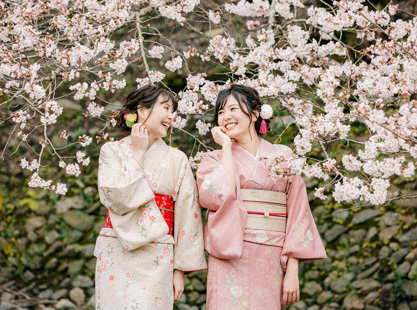 유메야카타 (夢館)