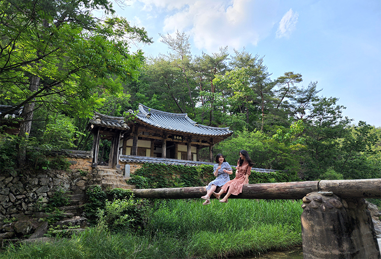 안동시티투어 동이사람들