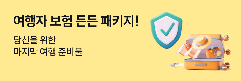 여행자 보험 (국내)