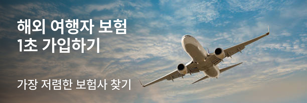 여행자 보험 (해외)