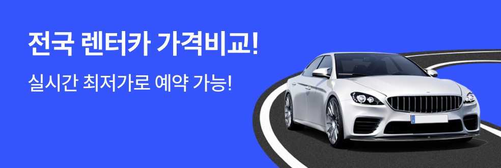 국내 렌터카