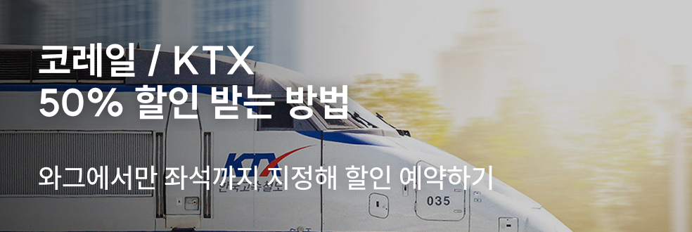 국내렌터카