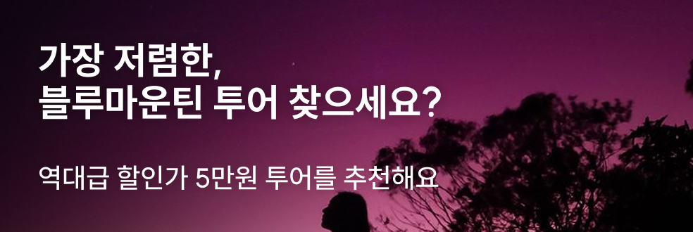 블루마운틴 투어 특가