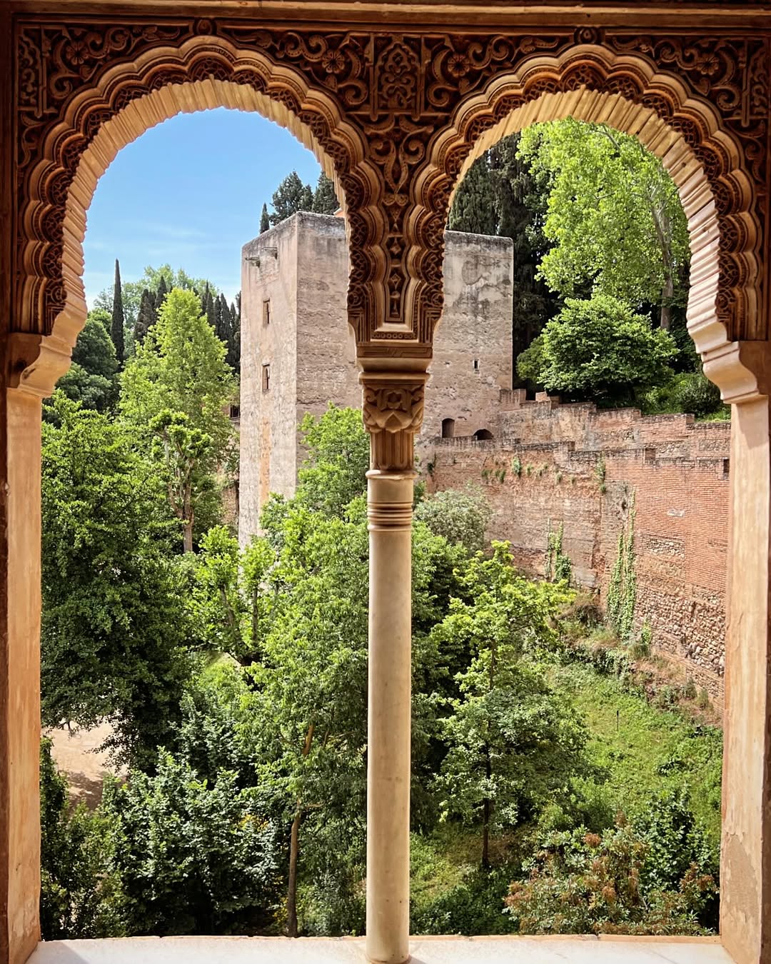 theme image