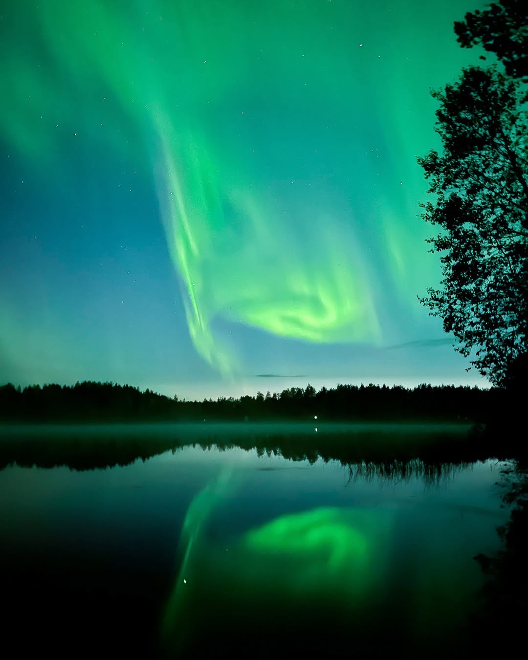 theme image