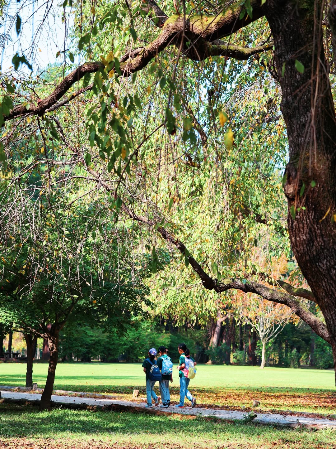 가을에 가기 좋은 강원도 여행지