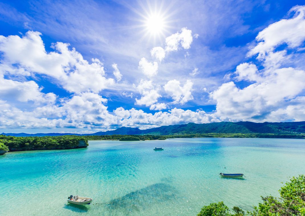 Okinawa Super Sale