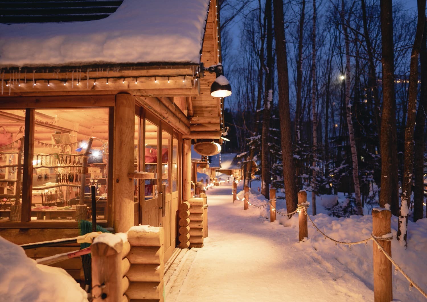 theme image