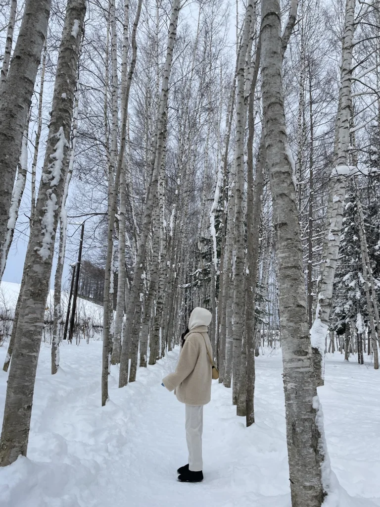 Biei & Furano Bus Tour