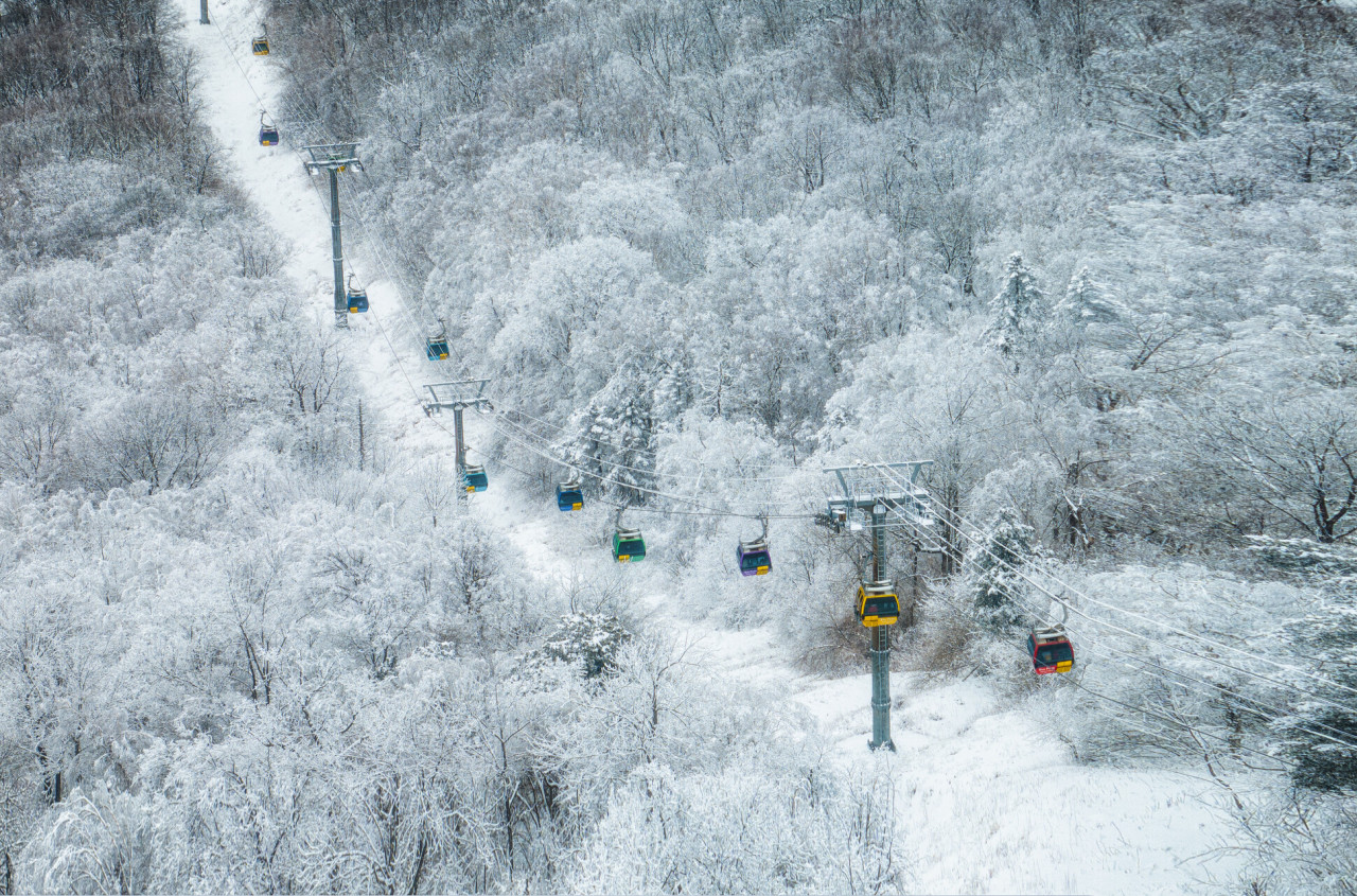 놓치면 안되는 강원도 여행지