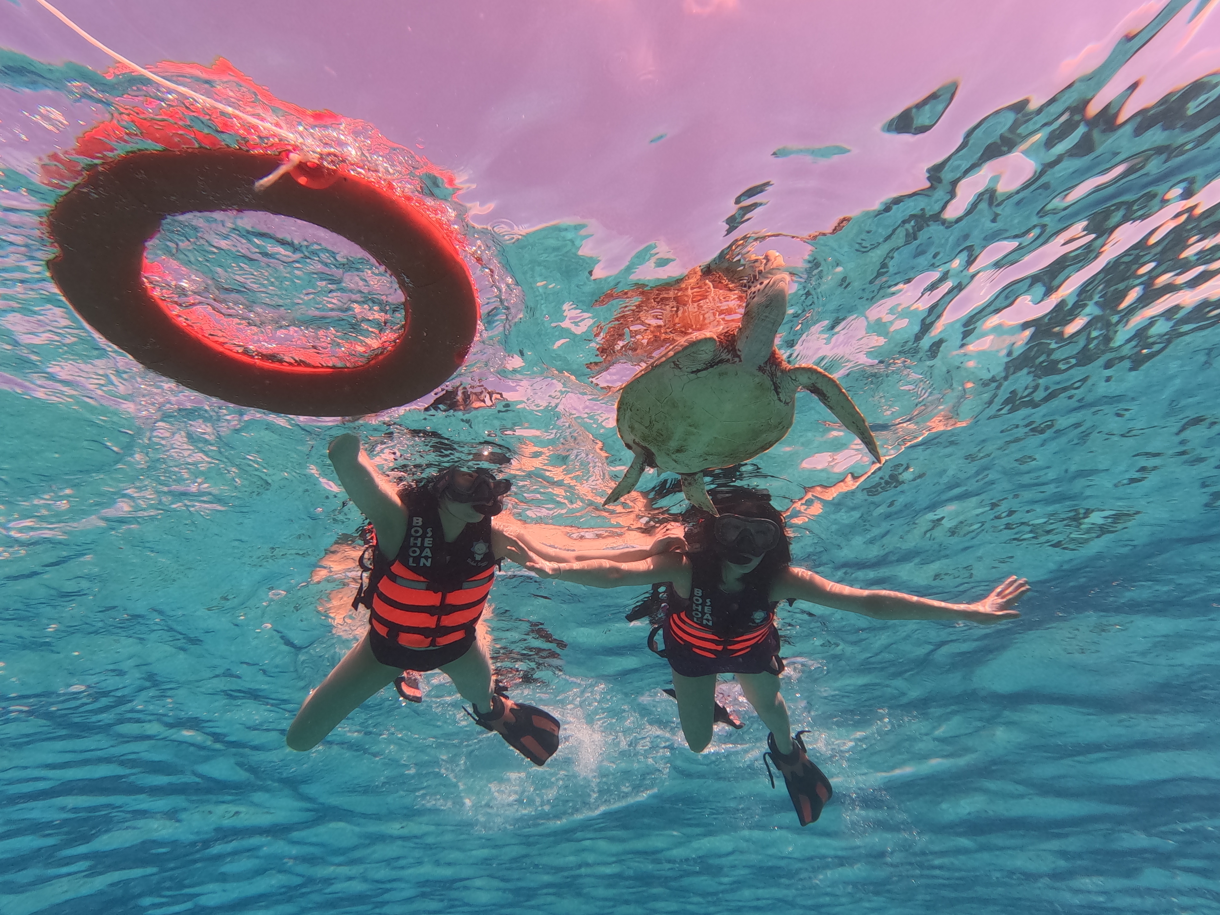 보홀션 파격 특가