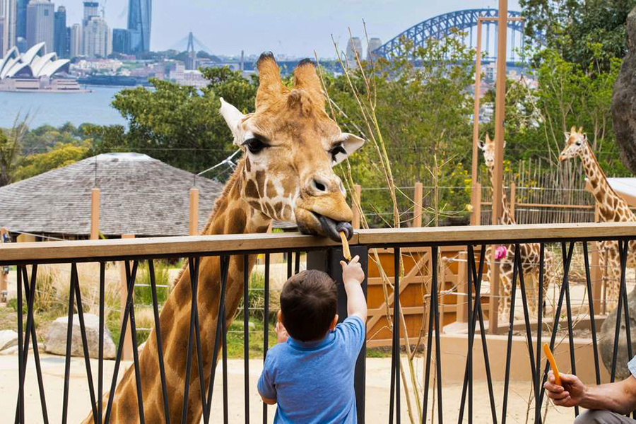 Recommended destinations for traveling with kids