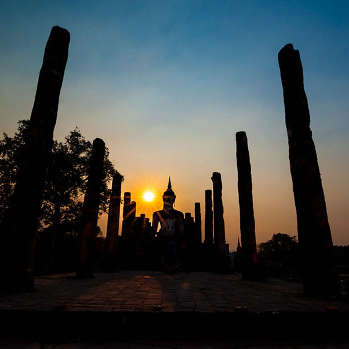 ここでしか会えない限定商品をチェック！