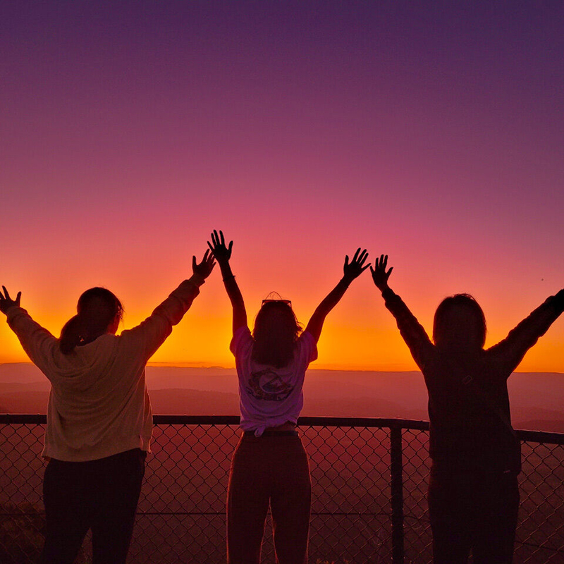 지그재그 x 와그, 단독 할인 프로모션