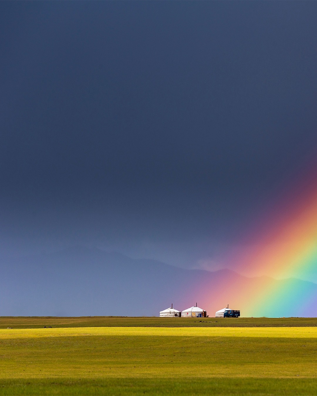 몽골 얼리버드 특별 프로모션