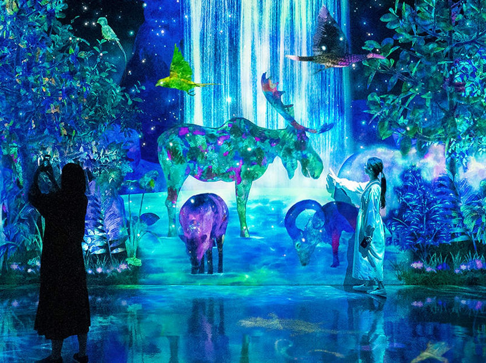 Discover Special Exhibitions in Fukuoka