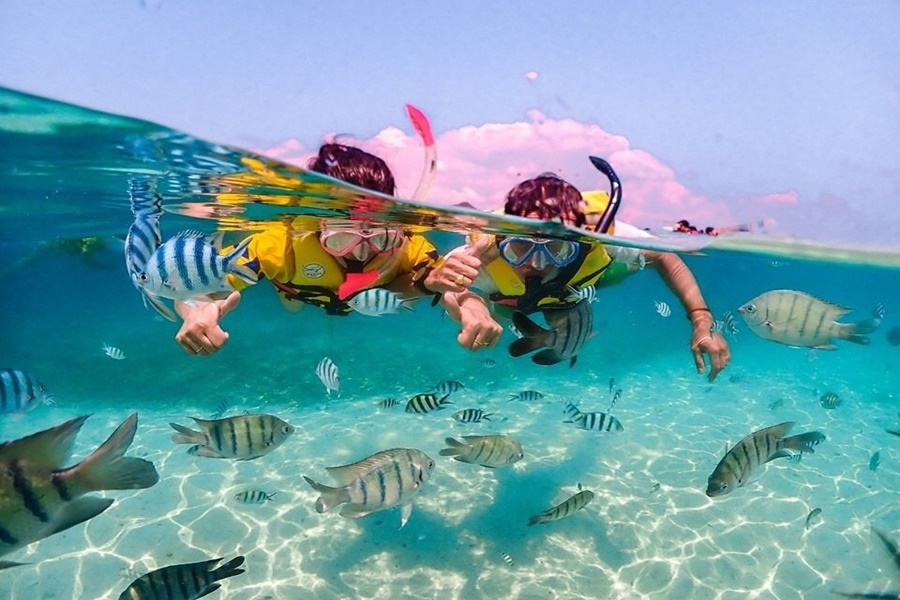 From Pattaya Coral Island to Nemo Island