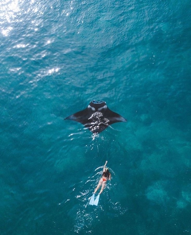 Nusa Penida Tour to Meet Manta Rays