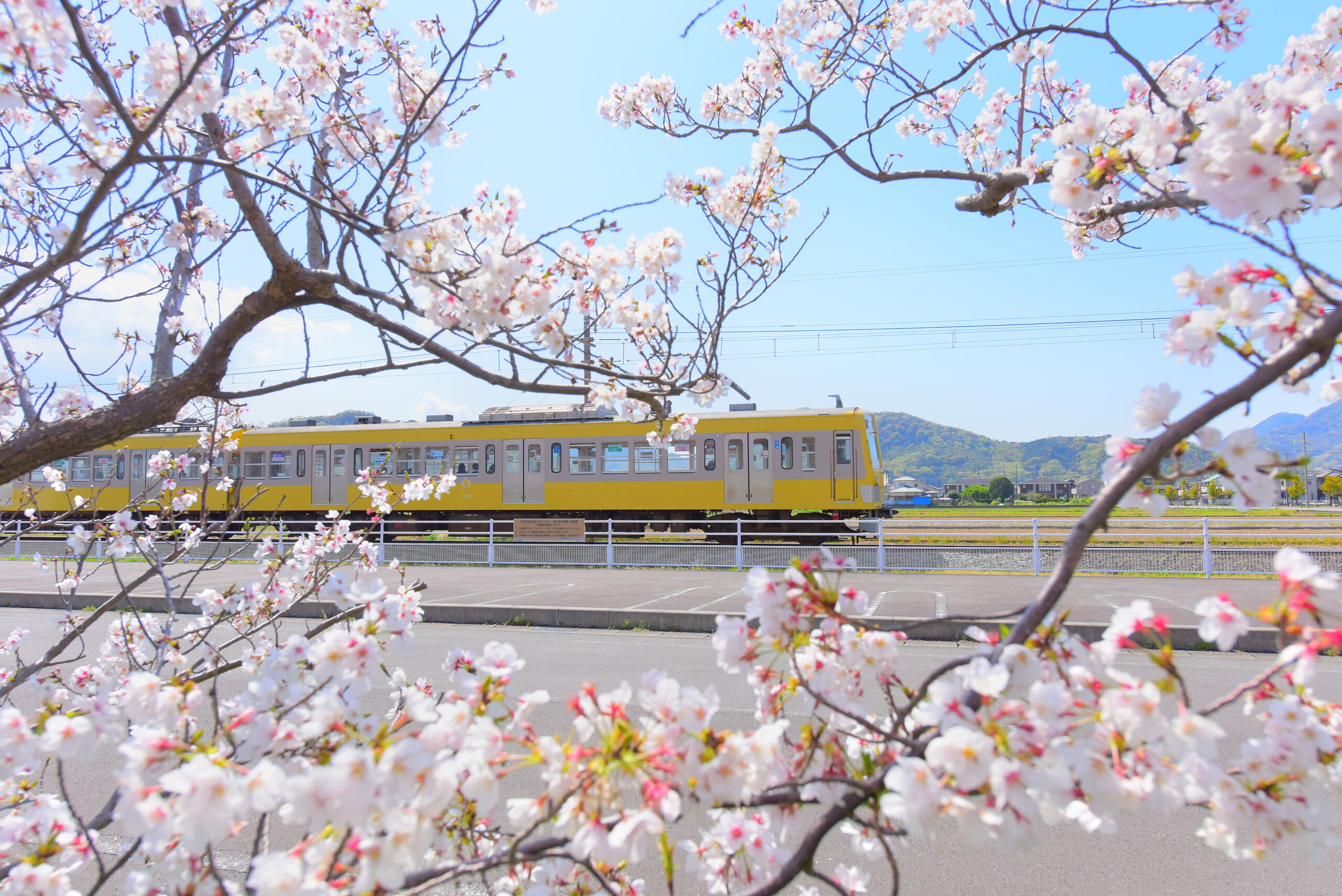 How to Get from Tokyo to Hakone