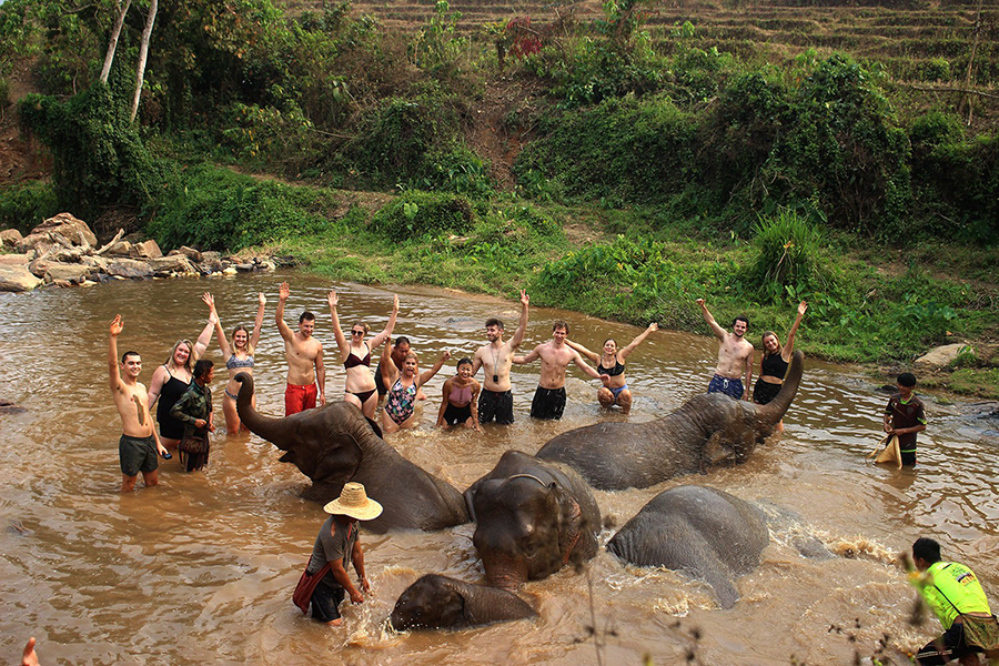 Must-Try Elephant Experiences in Chiang Mai
