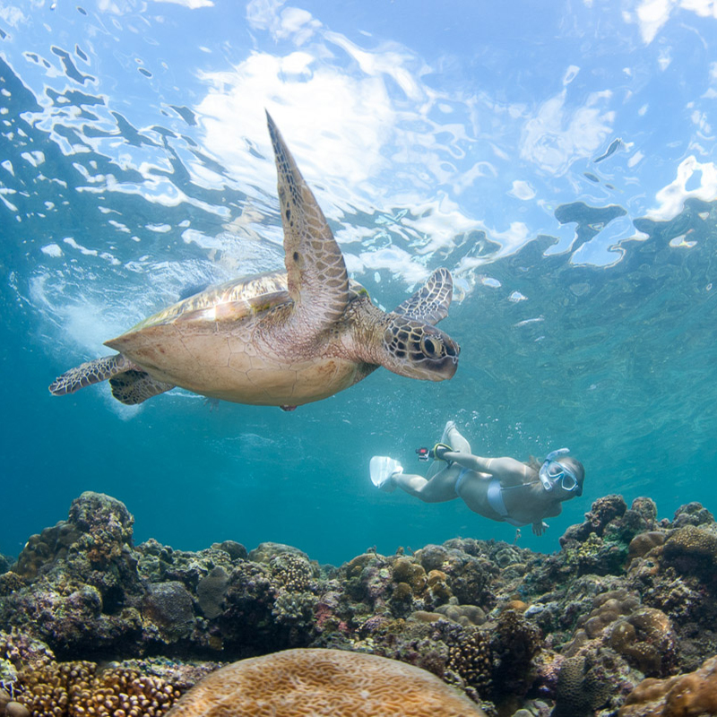 Best Moalboal Tours from Cebu