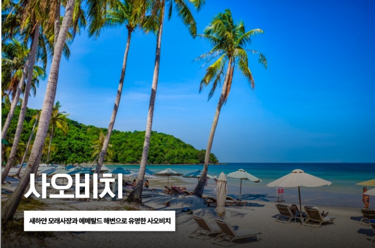 자유일정