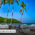 자유일정