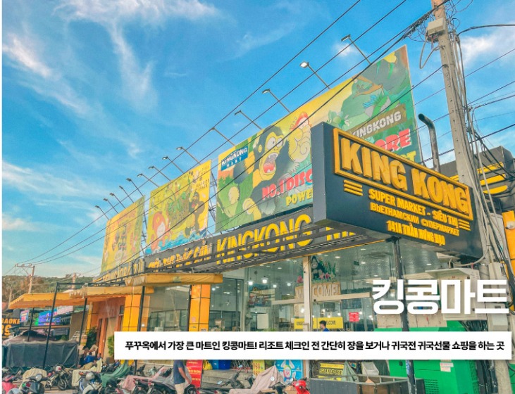 자유일정
