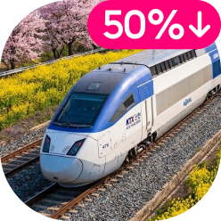 코레일/KTX ~50%