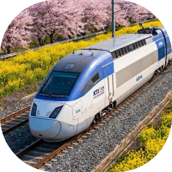 코레일/KTX 50% 할인