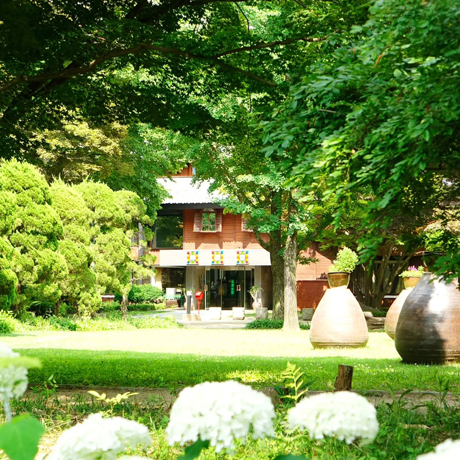 One-Day Bus Trip to Gangwon-do