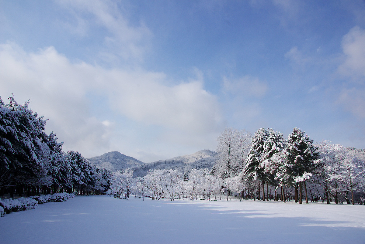 하루는 강원도 버스 여행