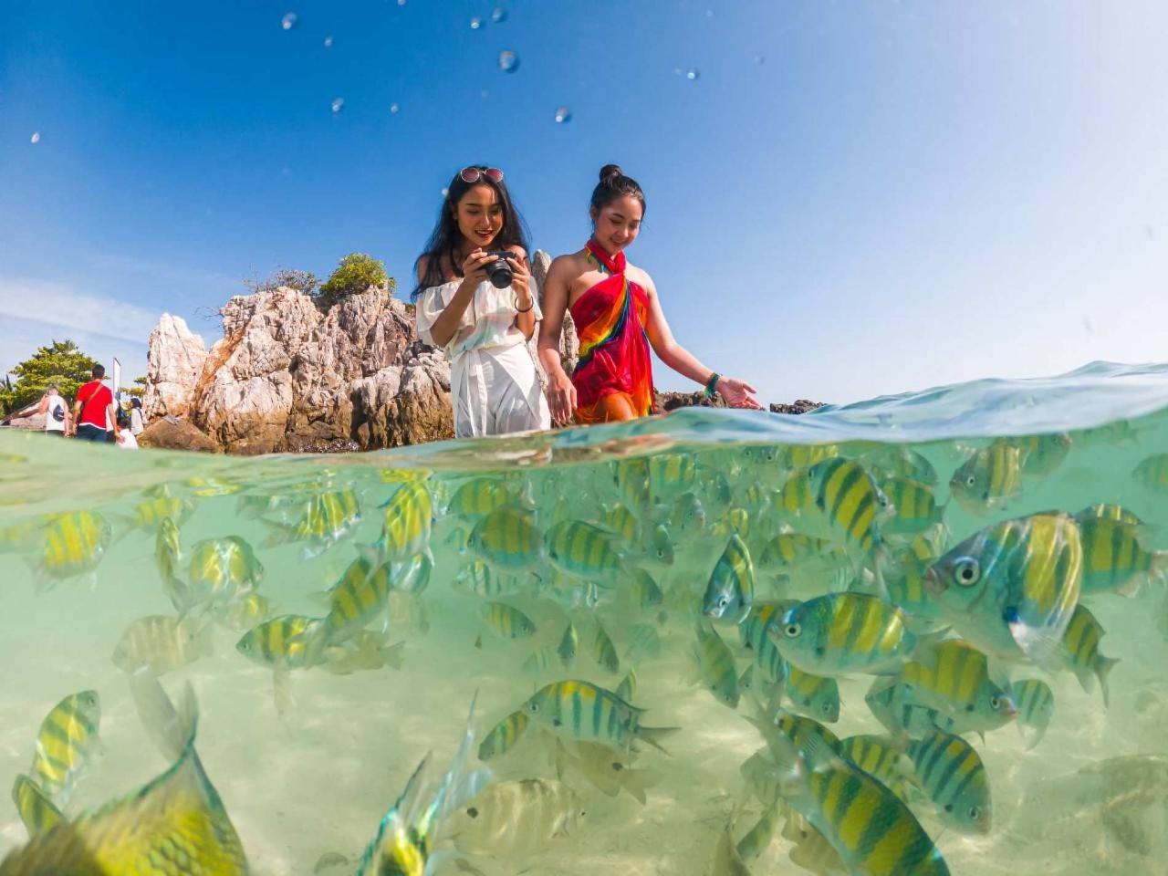 Explore the Phi Phi Islands & Maya Bay