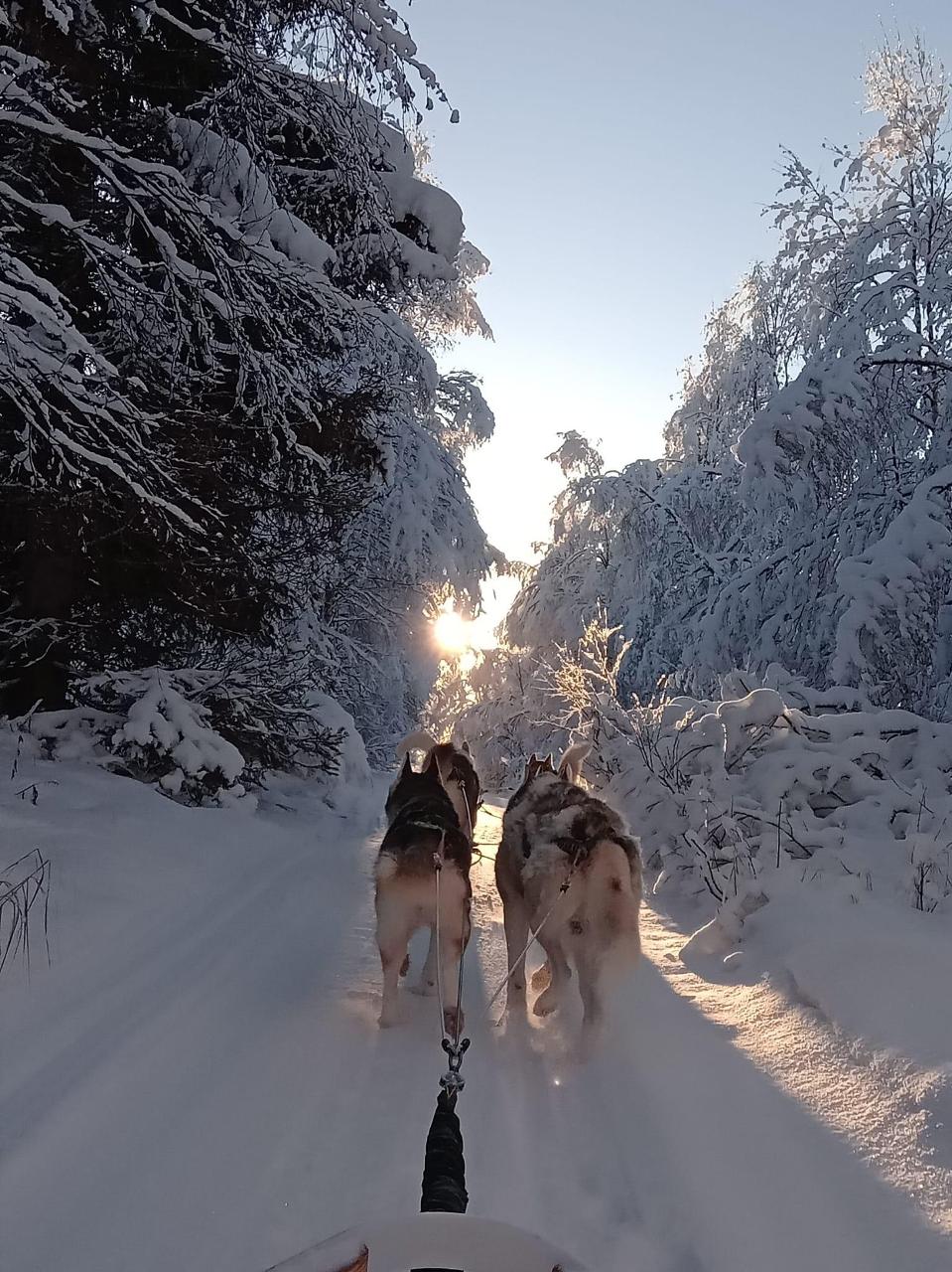 A Special Day in the Snow